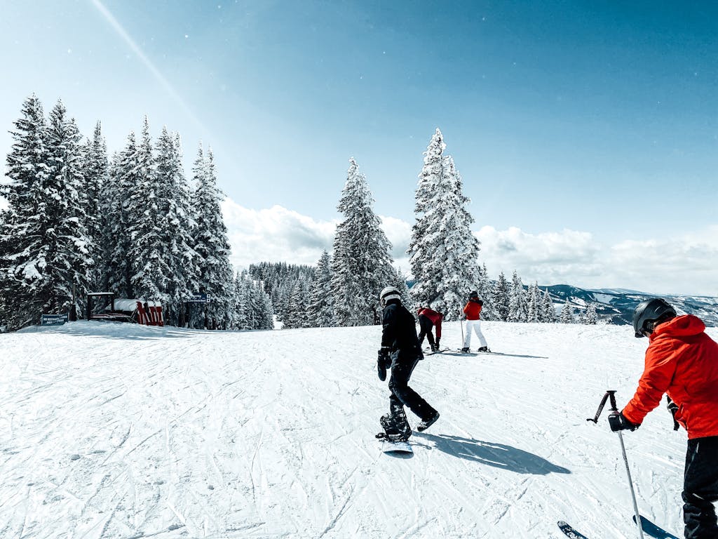 A group of snowboarders and skiers enjoying a sunny winter day on a snowy slope surrounded by trees.