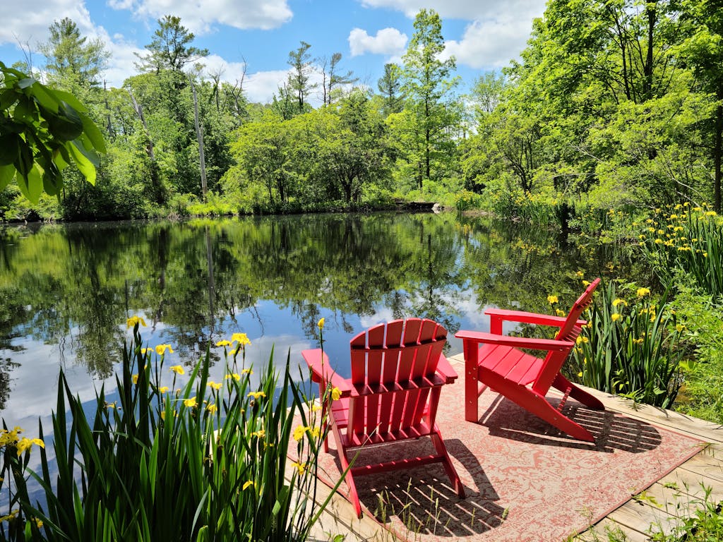 Bright red Adirondack chairs facing a peaceful forest lake add a pop of color to the serene scenery.