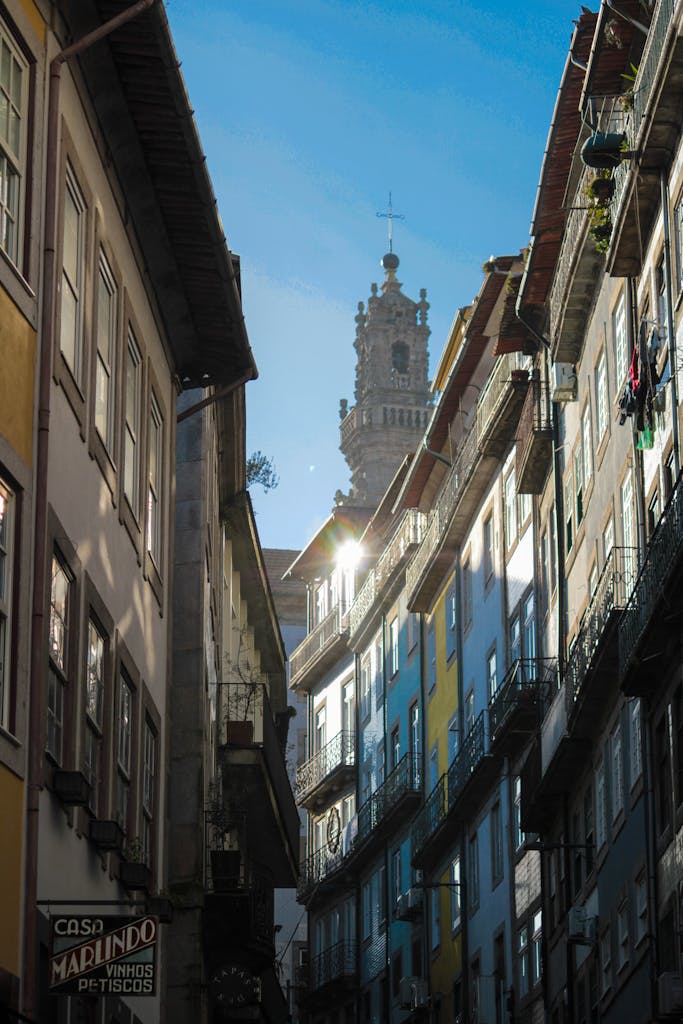 Historic narrow street view with Torre dos Clérigos in Porto, Portugal, showcasing traditional architecture.