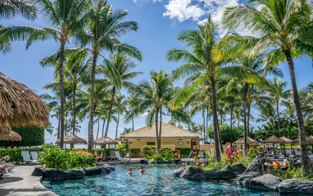 Relaxing tropical resort scene with palm trees, swimming pool, and clear blue sky.